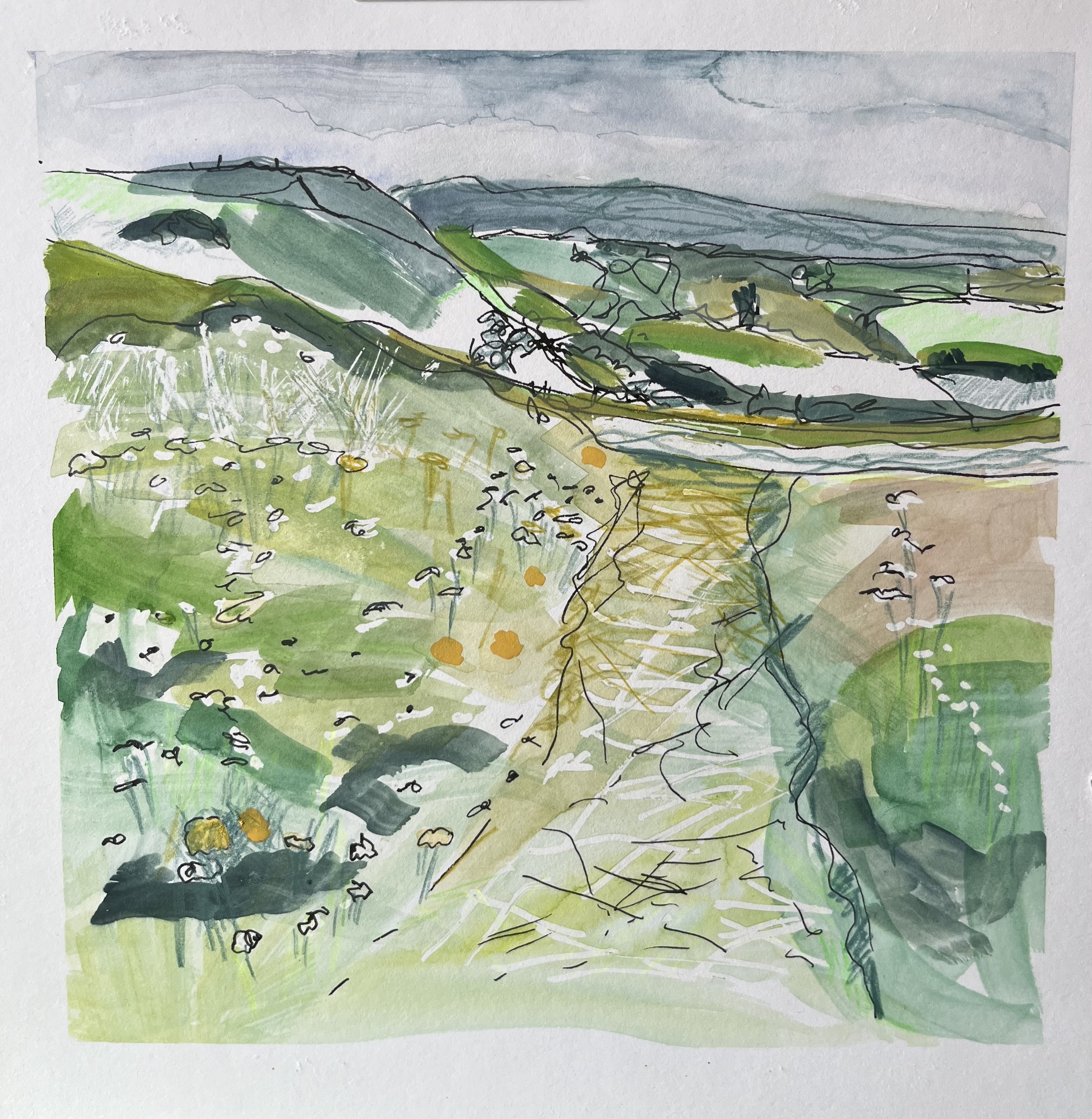  South Downs near Devil's Dyke 