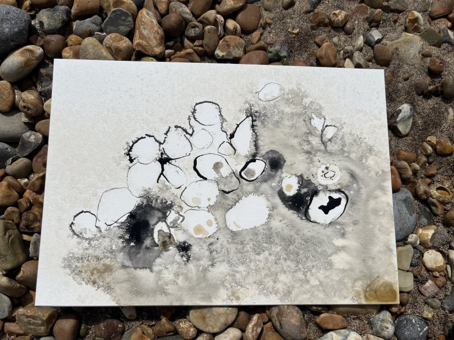 Pebbles at Pett Level