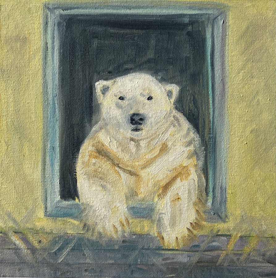 Polar Bear Window