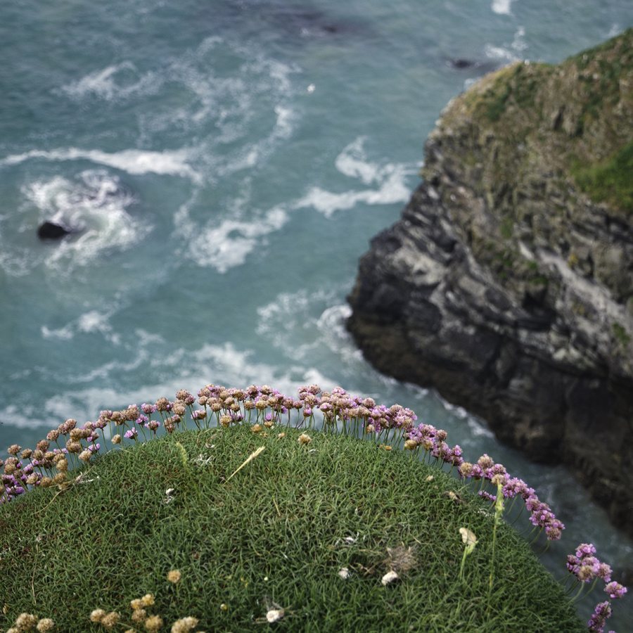 Precarious